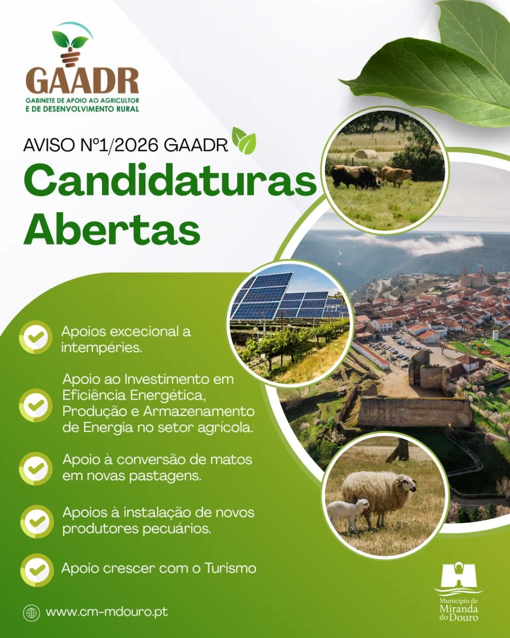 Candidaturas abertas - Aviso nº1/2026 GAADR