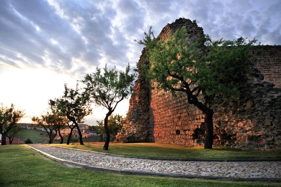 Jardim do Castelo de Miranda
