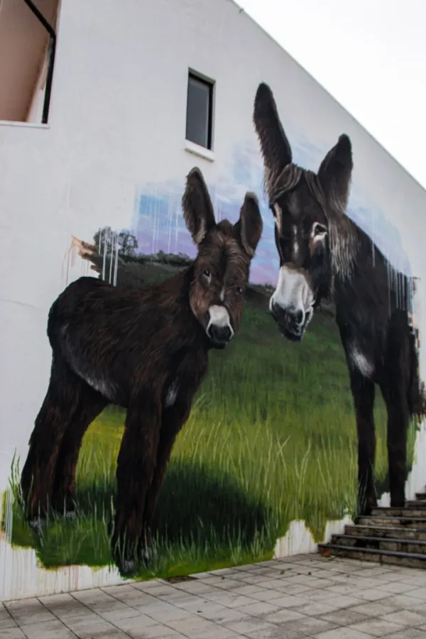 Fachada Burros de Miranda