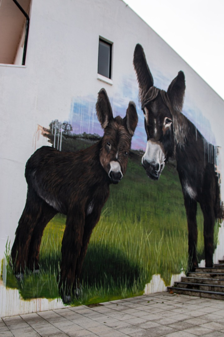 Fachada Burros de Miranda