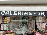 GALERIAS JR